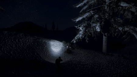 A video game screenshot of a character standing in a snowy forest, lights from her ship illuminating the trees.